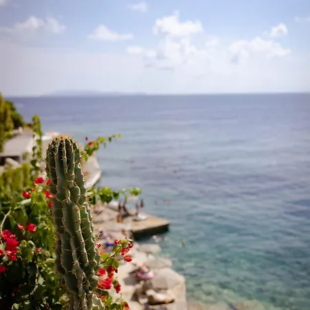 Peninsula & Resort 4*